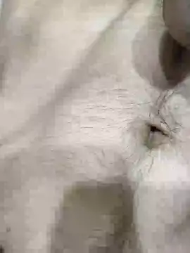 pussyedestroyer online show from May 2026 02:09:02 AM