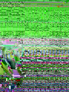 bigorange11 online show from June 2026 07:22:02 AM