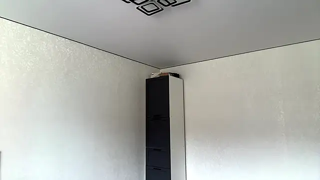 JaneyCage online show from June 2026 11:29:02 AM