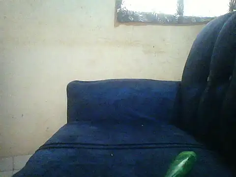 Snapshot of HomeBully chatting on July 2026 12:09:02 PM HomeBully online show from July 2026 12:09:02 PM