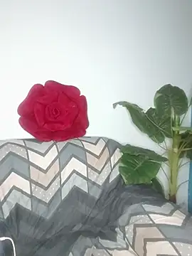 Cupid Mayra online show from August 2026 03:04:02 PM