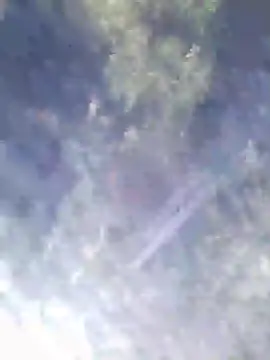 Philebranleur online show from July 2026 09:17:01 AM