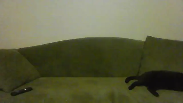 Snapshot of BuddingRose2323 chatting on July 2026 02:53:02 AM BuddingRose2323 online show from July 2026 02:53:02 AM