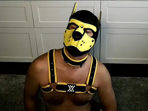 Snapshot of WildyLynx chatting on July 2026 05:17:01 PM WildyLynx online show from July 2026 05:17:01 PM