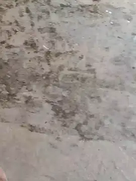 Snapshot of Hot_nisha62 chatting on July 2026 09:29:02 AM Hot nisha62 online show from July 2026 09:29:02 AM