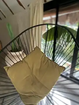 Blaackcat online show from November 2025 08:20:01 PM