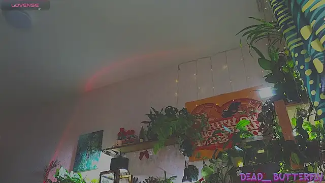 Snapshot of Dead_Butterfly chatting on December 2024 11:02:02 AM Dead Butterfly online show from December 2024 11:02:02 AM