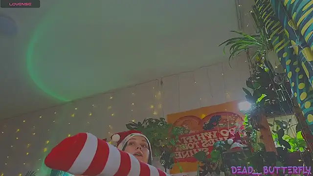 Snapshot of Dead_Butterfly chatting on December 2024 04:15:02 AM Dead Butterfly online show from December 2024 04:15:02 AM