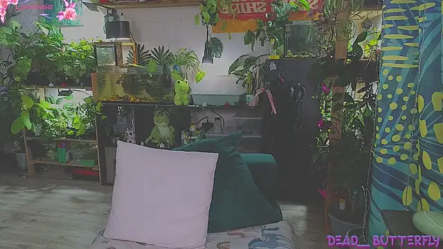 Snapshot of Dead_Butterfly chatting on February 2025 04:20:01 AM Dead Butterfly online show from February 2025 04:20:01 AM