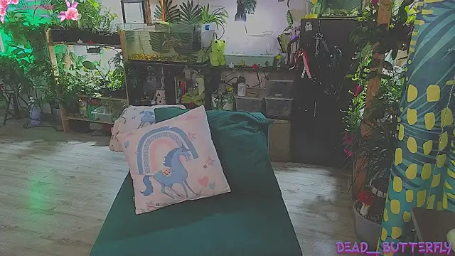 Snapshot of Dead_Butterfly chatting on March 2025 03:33:02 AM Dead Butterfly online show from March 2025 03:33:02 AM