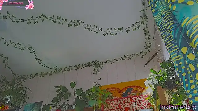 Snapshot of Dead_Butterfly chatting on September 2025 03:08:02 AM Dead Butterfly online show from September 2025 03:08:02 AM