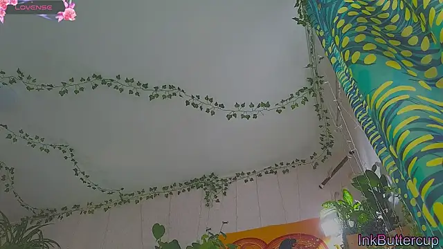 Snapshot of Dead_Butterfly chatting on September 2025 03:32:01 AM Dead Butterfly online show from September 2025 03:32:01 AM