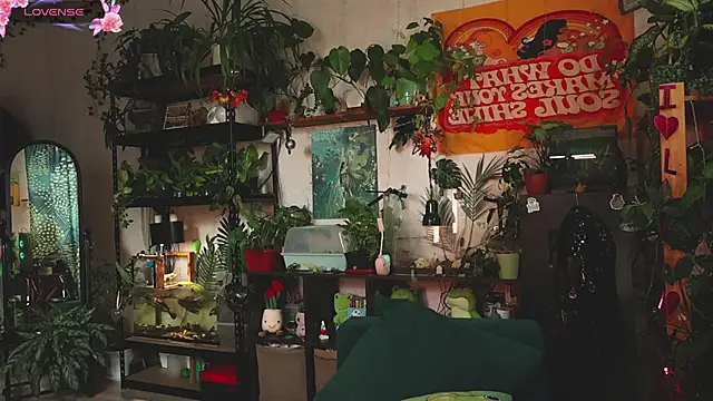 Snapshot of Dead_Butterfly chatting on October 2025 10:41:01 AM Dead Butterfly online show from October 2025 10:41:01 AM