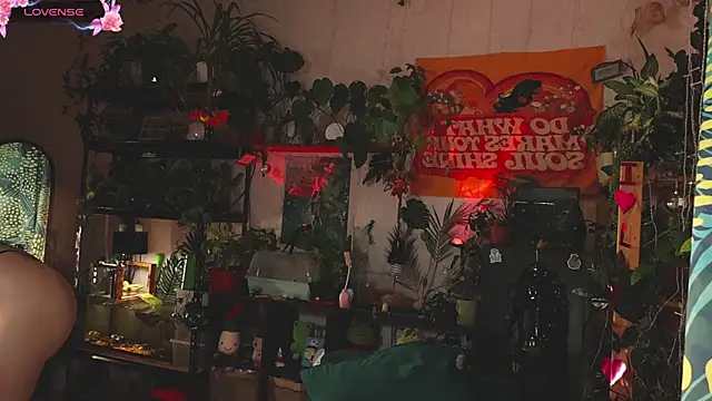 Snapshot of Dead_Butterfly chatting on November 2025 03:08:02 AM Dead Butterfly online show from November 2025 03:08:02 AM