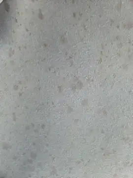 Snapshot of 415cali925 chatting on March 2026 06:55:01 PM 415cali925 online show from March 2026 06:55:01 PM