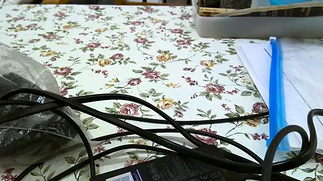 Bigjacky online show from September 2025 04:39:01 PM