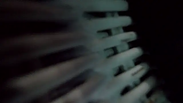 TEXASMARYYYJANE online show from January 2025 10:12:02 PM