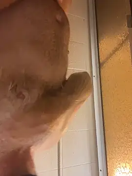 AlejoStrep online show from February 2026 03:01:01 AM