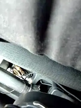 Snapshot of LifeLineSL chatting on March 2026 06:30:02 AM LifeLineSL online show from March 2026 06:30:02 AM