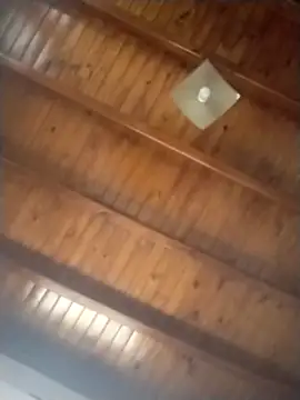 StefyStar Sexy online show from February 2025 11:03:01 AM