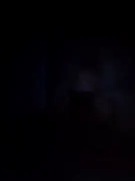 Biknight online show from December 2024 12:59:02 AM