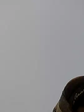 ThethunderPo online show from December 2024 01:43:01 AM