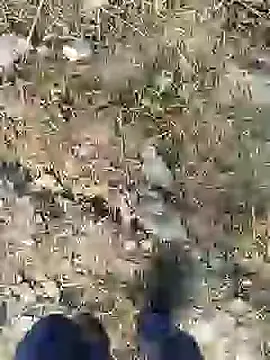 ThethunderPo online show from December 2024 02:43:02 AM