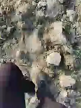 ThethunderPo online show from January 2025 02:36:01 AM