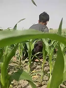 ThethunderPo online show from March 2025 08:10:02 AM