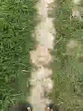 ThethunderPo online show from April 2026 02:45:02 AM