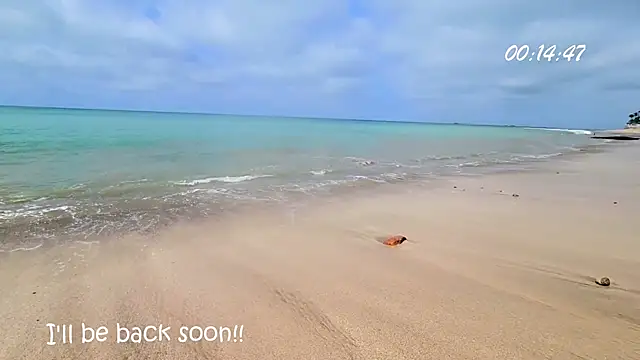 Girl Ksenia online show from December 2024 08:37:01 PM