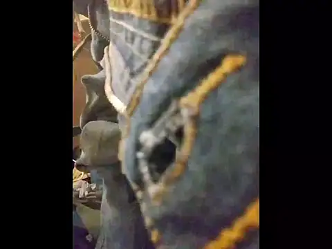 Snapshot of ROBERT0516 chatting on October 2025 05:02:02 PM ROBERT0516 online show from October 2025 05:02:02 PM