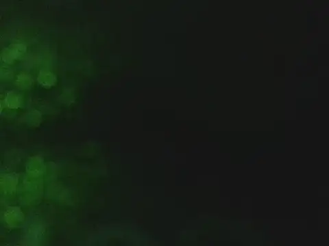 lonelycock33 online show from November 2025 09:48:01 PM