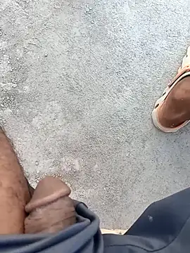 Bengali BULL1 online show from October 2025 10:43:02 AM