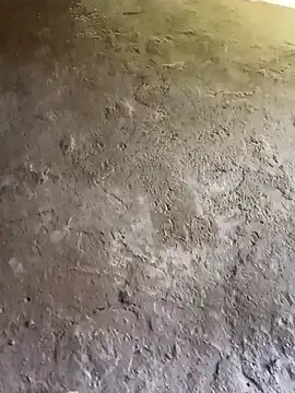 Bengali BULL1 online show from October 2025 09:32:01 AM