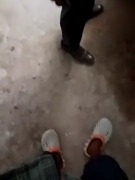 Bengali BULL1 online show from November 2025 11:53:01 AM