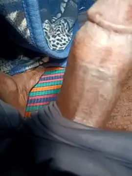 Bengali BULL1 online show from February 2026 05:19:02 AM