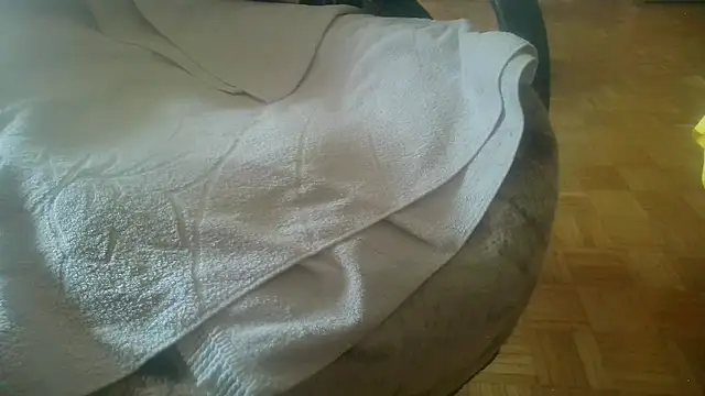 Snapshot of Python43 chatting on February 2025 08:39:02 AM Python43 online show from February 2025 08:39:02 AM