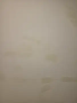 Adivaaa online show from February 2026 10:54:01 AM