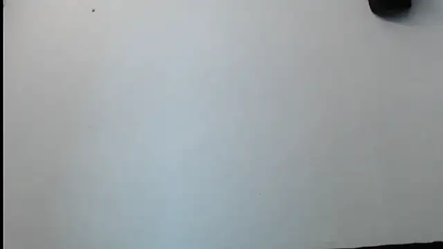 SebastianReiss online show from February 2025 01:29:02 AM