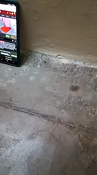 raj6fe online show from January 2025 05:09:02 PM