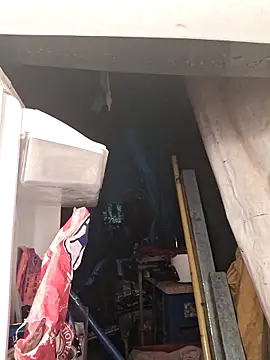 Toycockhot online show from December 2025 12:38:02 AM