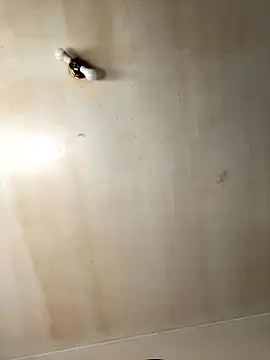 Tristris100 online show from November 2025 03:56:02 PM