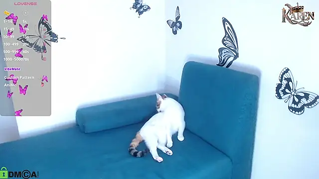 Snapshot of karen_sofia_ chatting on February 2026 09:13:01 PM karen sofia online show from February 2026 09:13:01 PM