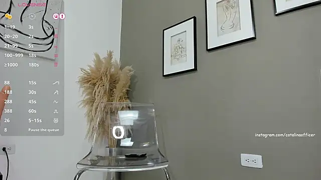 catalinaofficer online show from December 2024 07:24:01 PM