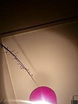 NiceHunter89 online show from February 2025 10:22:02 PM