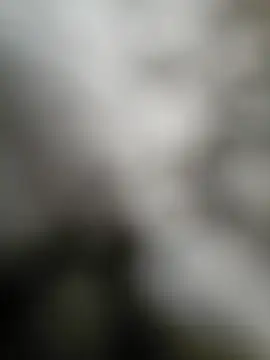 NiceHunter89 online show from September 2025 02:50:01 PM