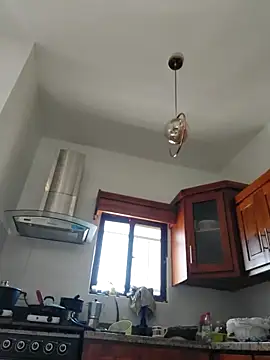 Snapshot of Luna-Natural chatting on February 2026 08:38:01 PM Luna-Natural online show from February 2026 08:38:01 PM