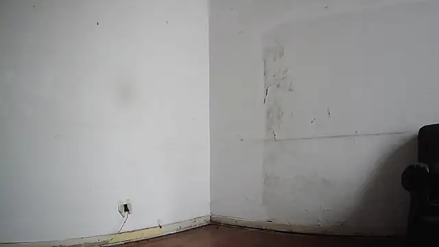 seoulsatxh online show from February 2025 05:50:01 PM