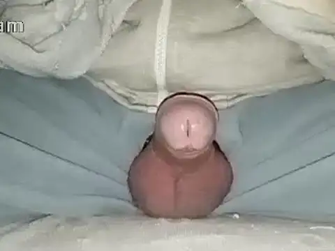 Bigdick666cm online show from January 2025 06:47:01 PM